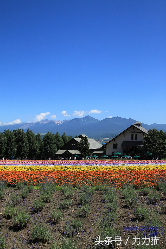 日本北海道最美丽的景点,北海道暑假旅游攻略大全