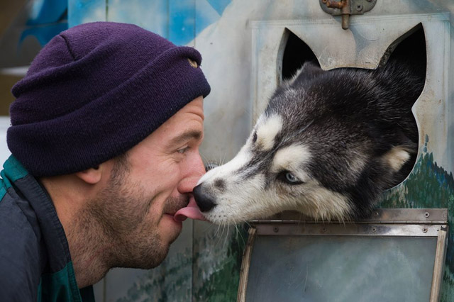 狗狗亲主人的脸是代表什么意思,为什么狗狗总喜欢亲我的嘴巴