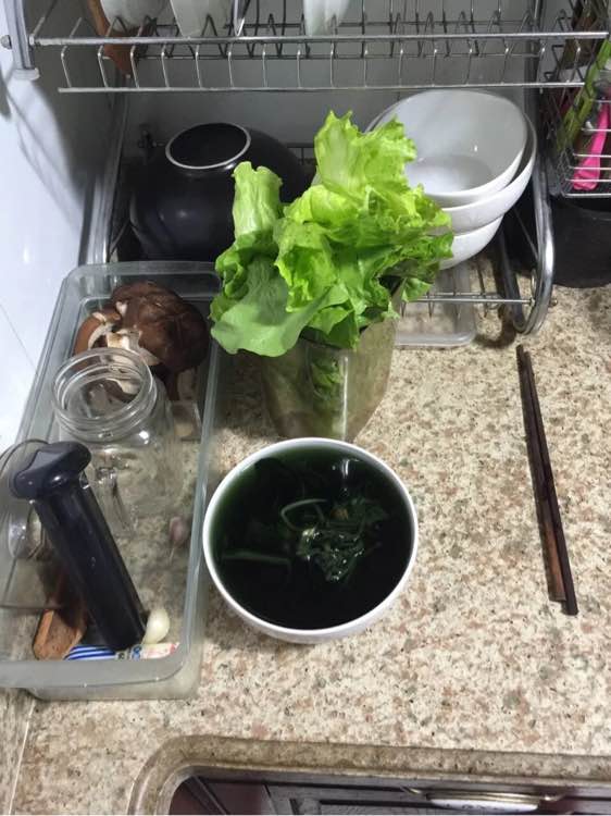 我和男朋友结婚半年了，生活当中我们俩就是谁有空谁下厨房