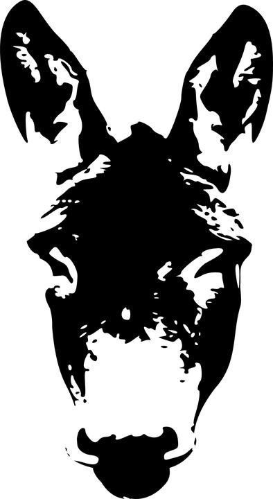 那个叫骡子王乐的糙汉