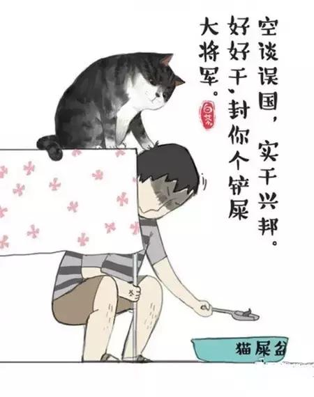 合格的铲屎官要做什么,怎样判断是否是合格的铲屎官