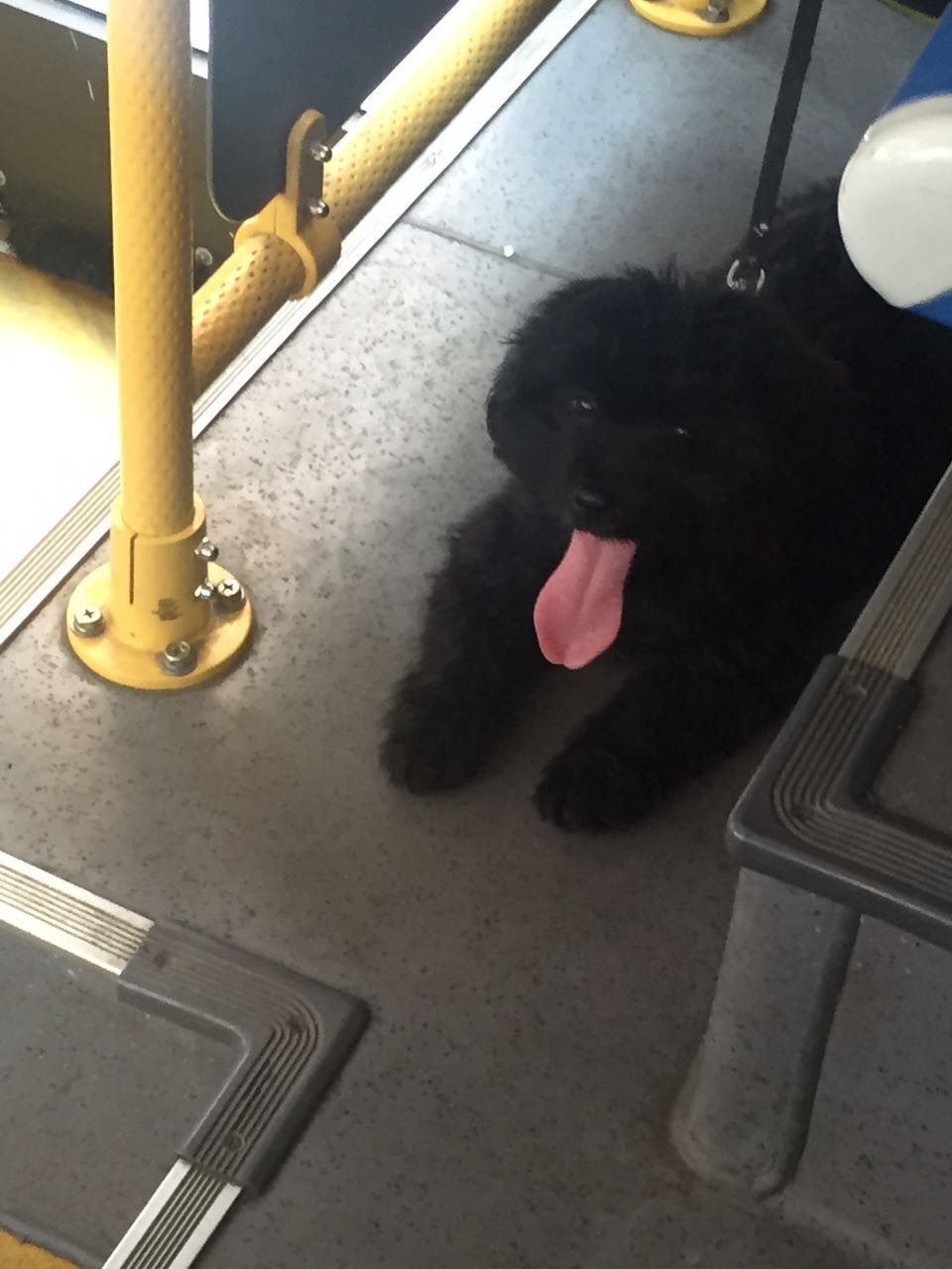 这么热的天大家都去哪玩,这么热的天大家都在干什么