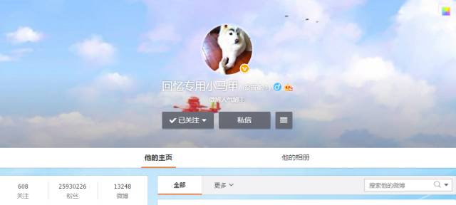 自媒体大事件,网红大v的猫狗