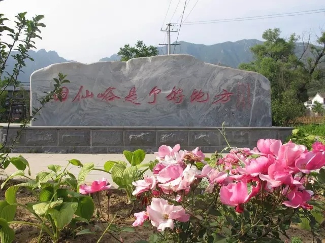夏天天气这么热适合去哪儿玩,大暑去哪里玩比较凉快