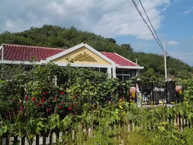 夏天天气这么热适合去哪儿玩,大暑去哪里玩比较凉快