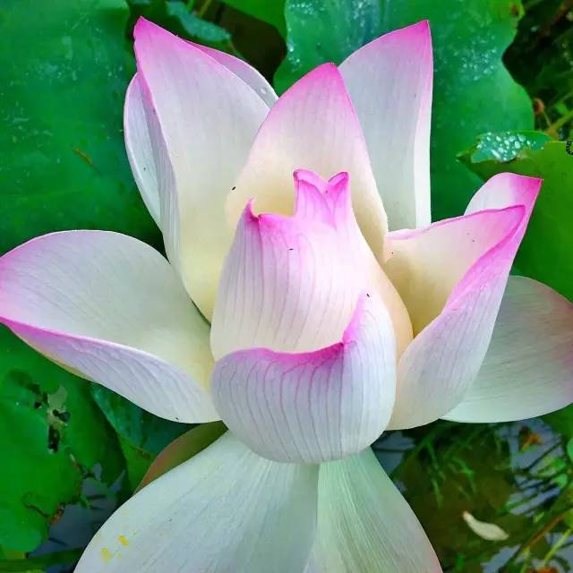 毕业旅游江西,毕业旅行去福建哪里旅游