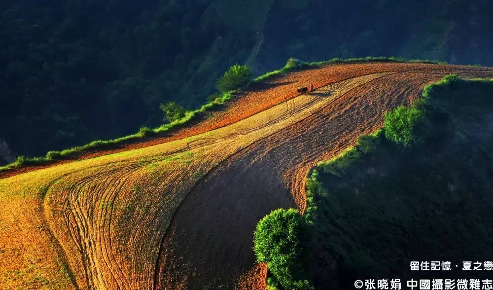夏之恋完整版mv,夏之恋完整版免费阅读