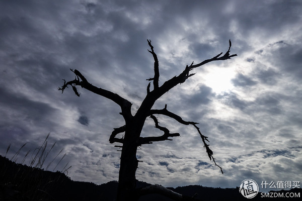 icebreaker滑雪服,icebreaker黑色保暖衣