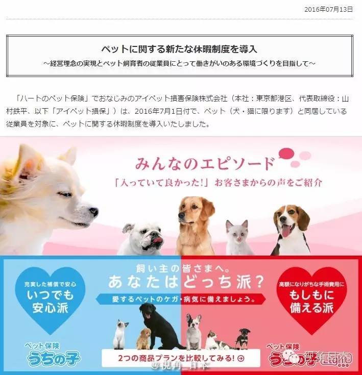 吉卜力美术馆香港,三鹰之森吉卜力美术馆到成田机场