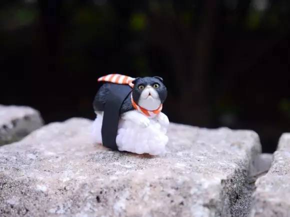 萌物有哪些,萌物脑洞系列