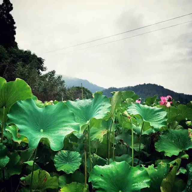 毕业旅游江西,毕业旅行去福建哪里旅游