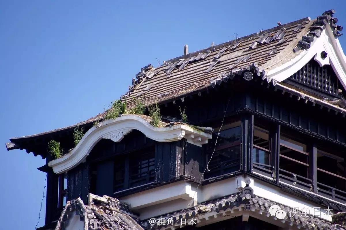 吉卜力美术馆香港,三鹰之森吉卜力美术馆到成田机场