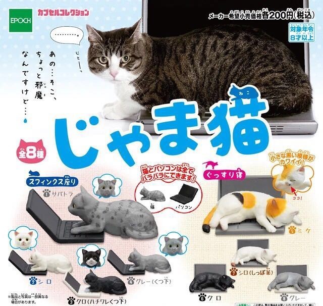 萌物有哪些,萌物脑洞系列