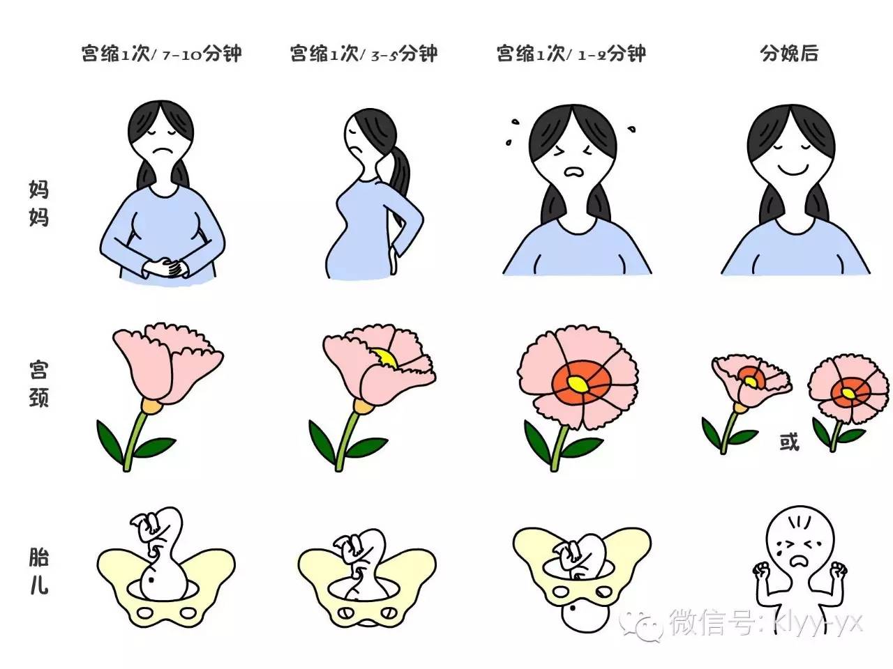 分娩前后分娩前，每一位孕妈妈都必须知道的事！