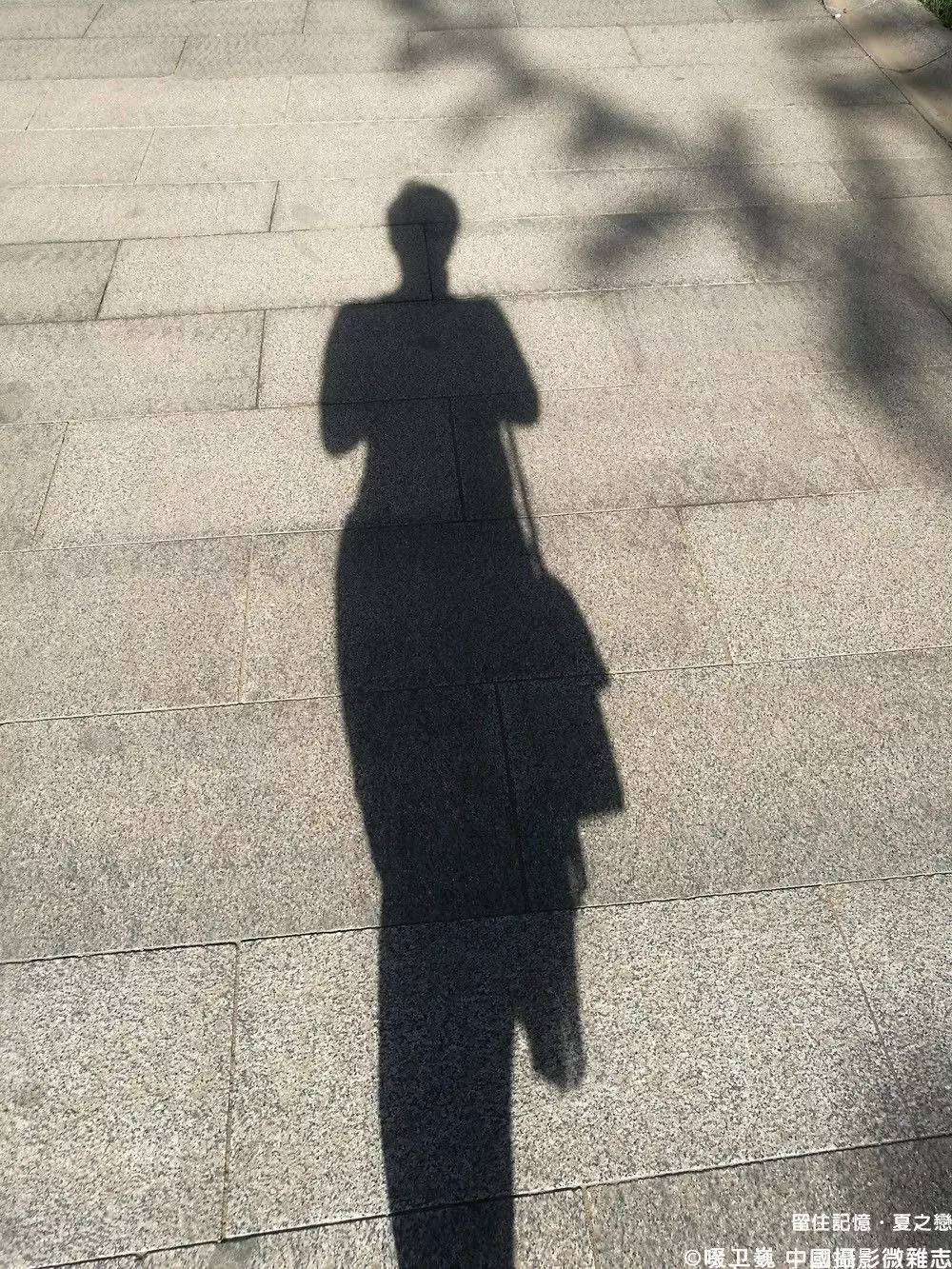 夏之恋完整版mv,夏之恋完整版免费阅读