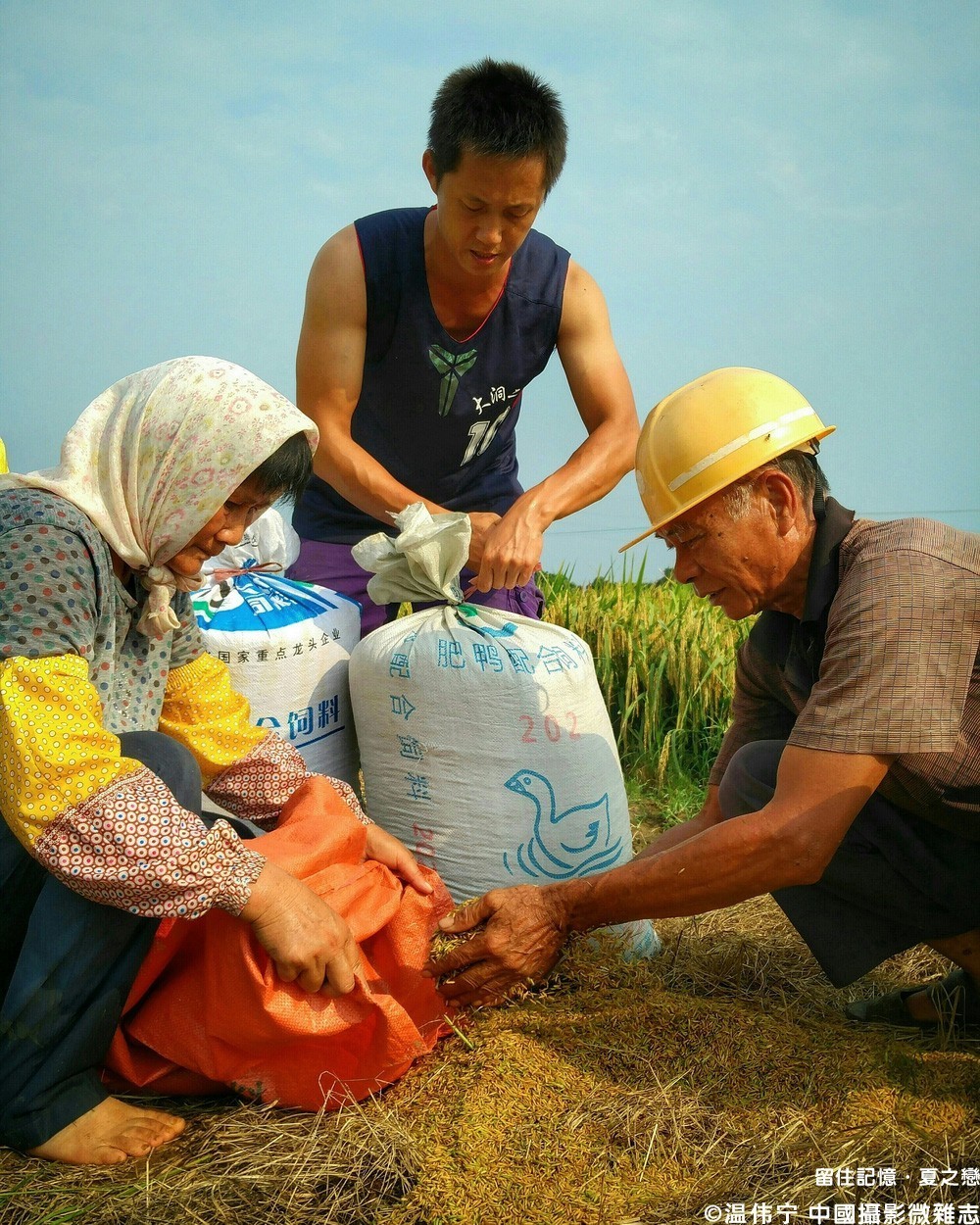 夏之恋完整版mv,夏之恋完整版免费阅读