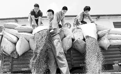 安徽今日早间新闻,今天安徽全部新闻报道