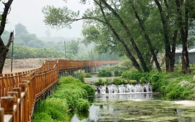 夏天天气这么热适合去哪儿玩,大暑去哪里玩比较凉快