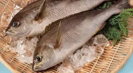 国内怎么玩pokemongo2020,大陆怎么才可以玩pokemongo