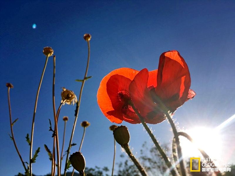 海坨山免费徒步,北京海坨山登山好去处推荐