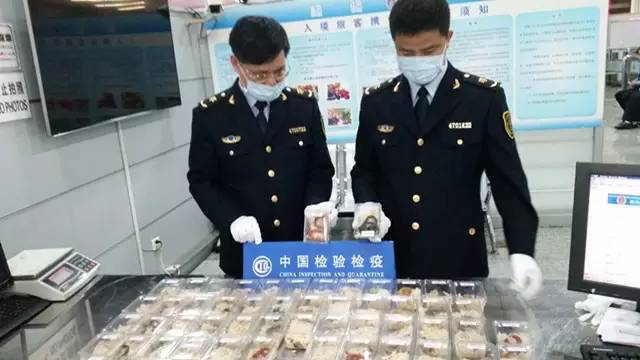 国内怎么玩pokemongo2020,大陆怎么才可以玩pokemongo