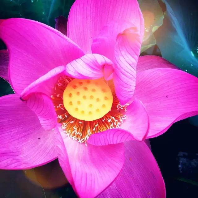 毕业旅游江西,毕业旅行去福建哪里旅游