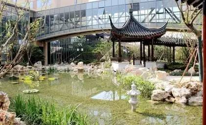 这个美丽的“少年”寻找18位德才兼备的名师，你敢来试试吗？| 招聘