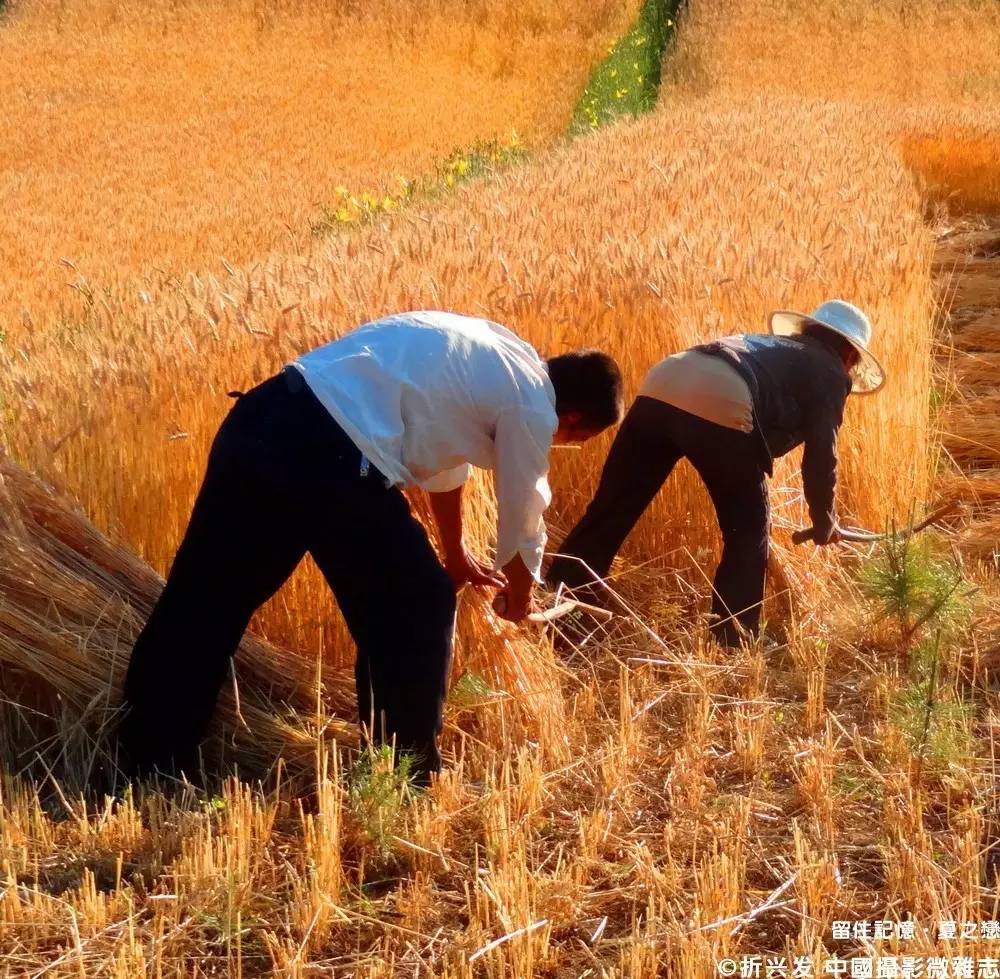 夏之恋完整版mv,夏之恋完整版免费阅读