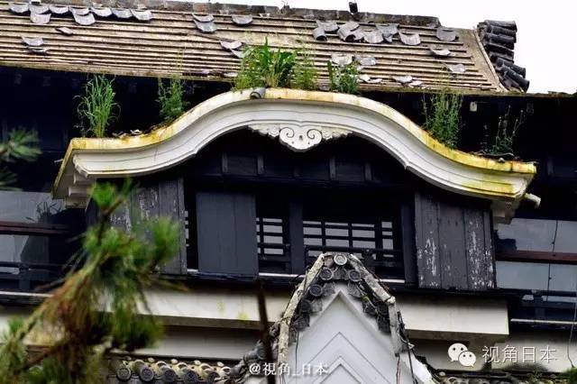 吉卜力美术馆香港,三鹰之森吉卜力美术馆到成田机场