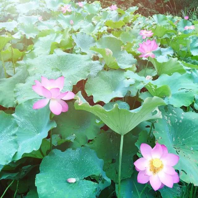 毕业旅游江西,毕业旅行去福建哪里旅游