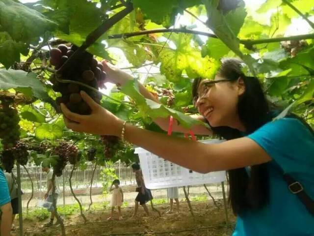 毕业旅游江西,毕业旅行去福建哪里旅游