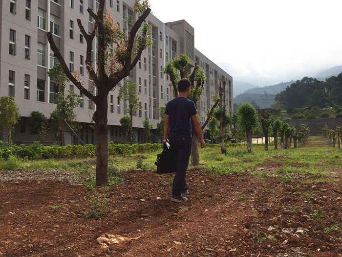 鏄嗘槑缁垮寲杩囧啲,鏄嗘槑鍐讳激澶ф浣滅墿