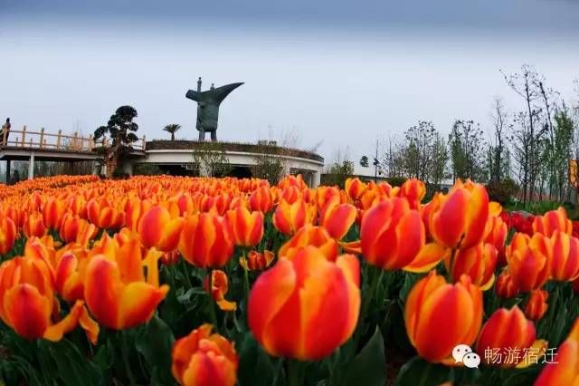 假如宿迁是一个班级，宿城当然是