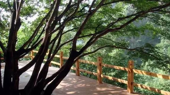 忍无可忍的意思,忍无可忍爆发了怎么办