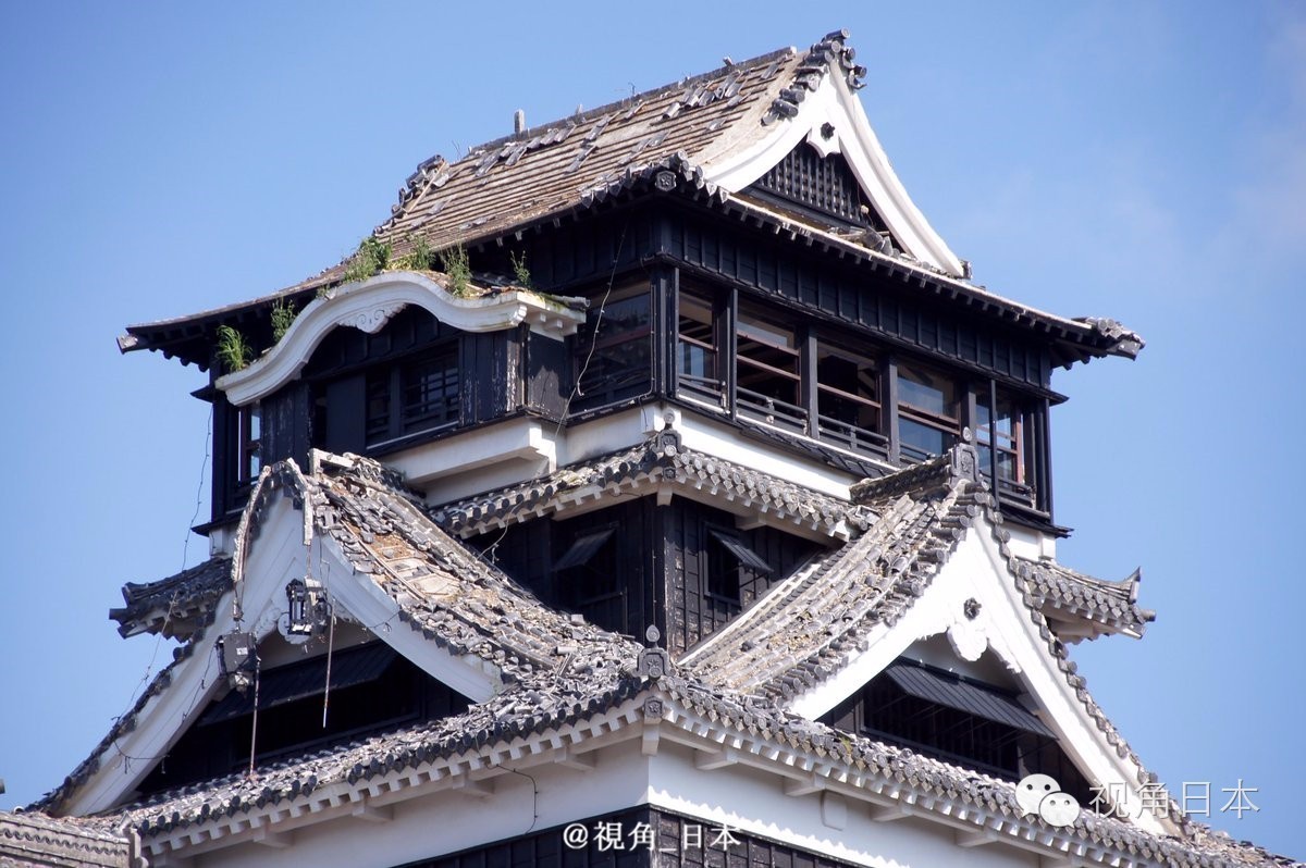 吉卜力美术馆香港,三鹰之森吉卜力美术馆到成田机场