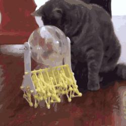 萌物有哪些,萌物脑洞系列