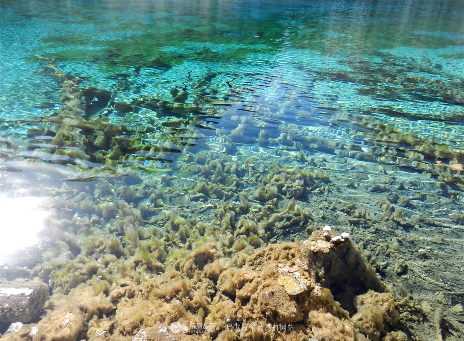 冬日里的九寨沟,冬日的九寨沟