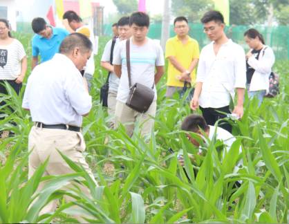 大北农合作,大北农玉米种子联系方式