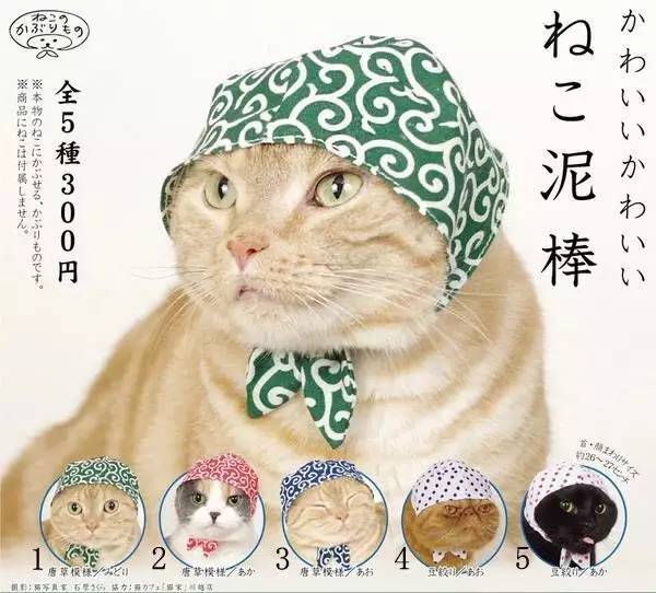 萌物有哪些,萌物脑洞系列