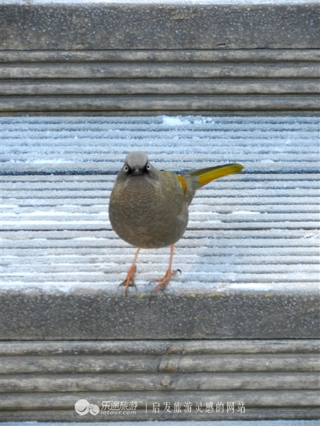 冬日里的九寨沟,冬日的九寨沟