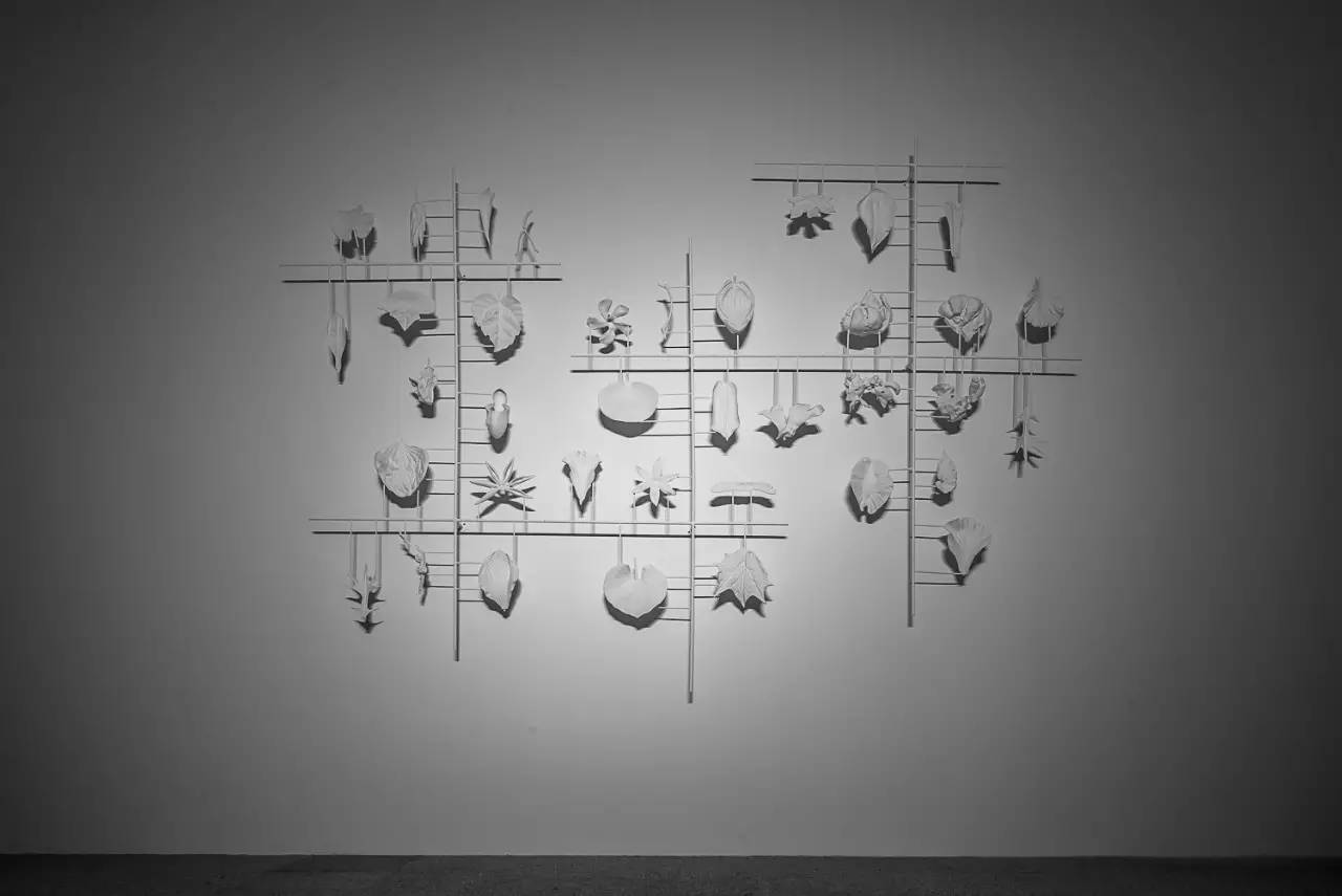 凤凰艺术2019,凤凰艺术