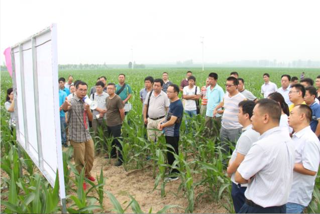 大北农合作,大北农玉米种子联系方式