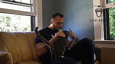 鐙楃嫍鑰佹槸鑸旀瘺鑸旂殑鍦版柟鏄孩鑹茬殑,鐚挭鑸旀瘺鑸旂殑鐗瑰埆鍕ゅ睘浜庢甯稿悧