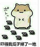 菊花形状的一元值多少钱,菊花一角钱什么年代最值钱