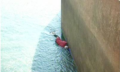 玩时下最火手游也可能犯法?│抓怪有风险，出门需谨慎