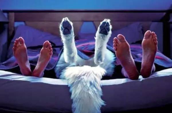 半数人18岁前看过*片A**?2015国人婚恋报告颠覆你想象