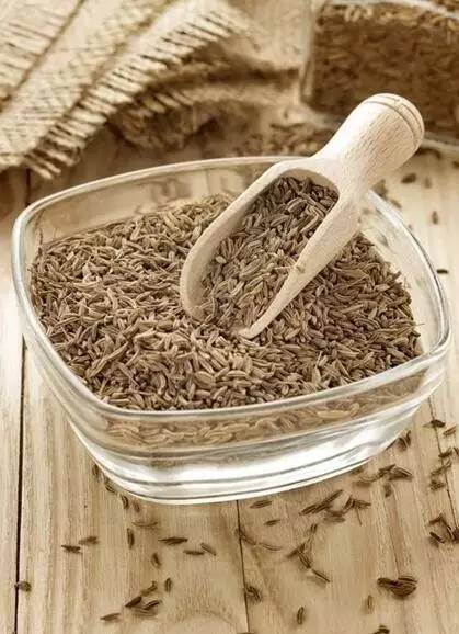 内蒙人应该知道的知识,孜然都有哪些秘密