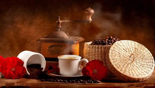 猫屎咖啡真是猫屎做的吗,正宗猫屎咖啡是哪里产的