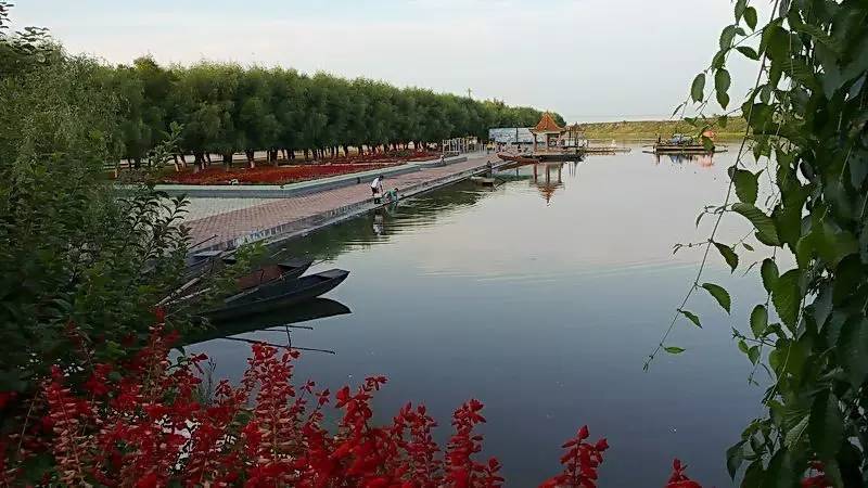 小朱家的作品,小朱家路线