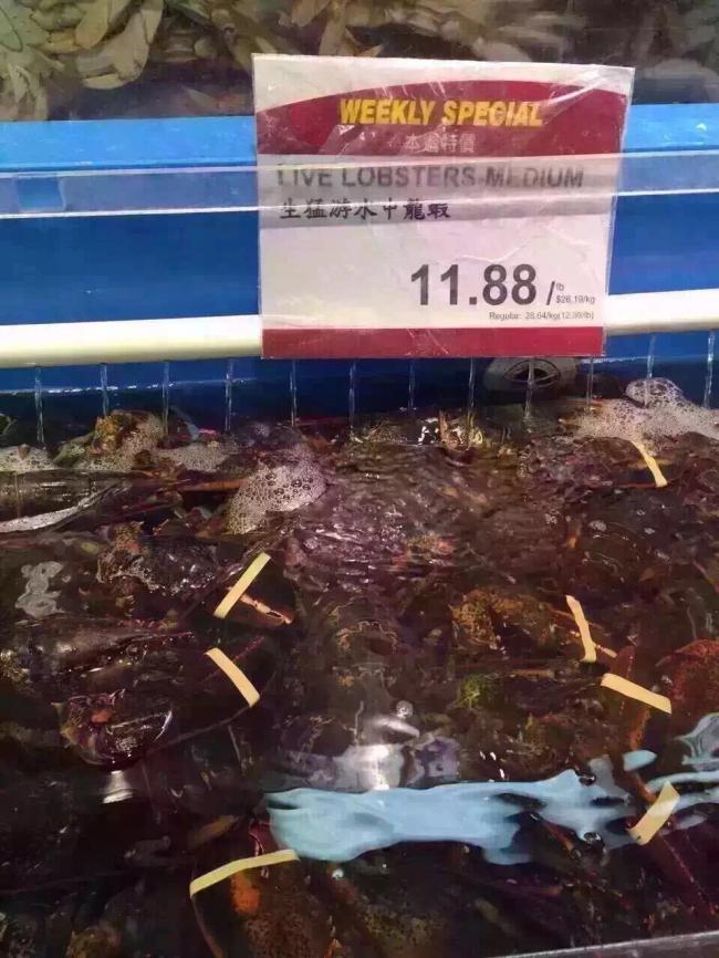 韭黄22块一斤,韭黄12元一斤